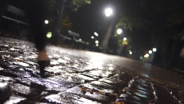 Woman Walks Night Camera Black Coat Autumn Rainy Park 25Fps — Stock Video