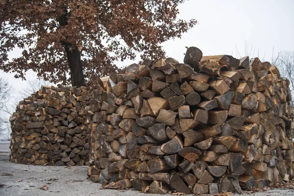 Dry Autumn Firewoods — Stock Photo, Image