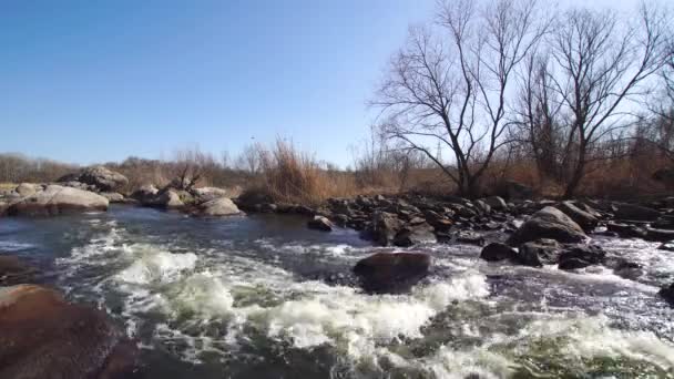 Wilde Natuur Waterlandschap Met Stormachtige Rivier Veel Stenen Kale Bomen — Stockvideo