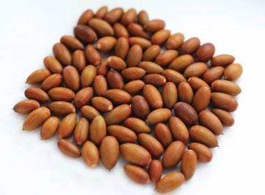 Beyaz arka plan üstten görünüm üzerinde izole meşe palamutları meşe