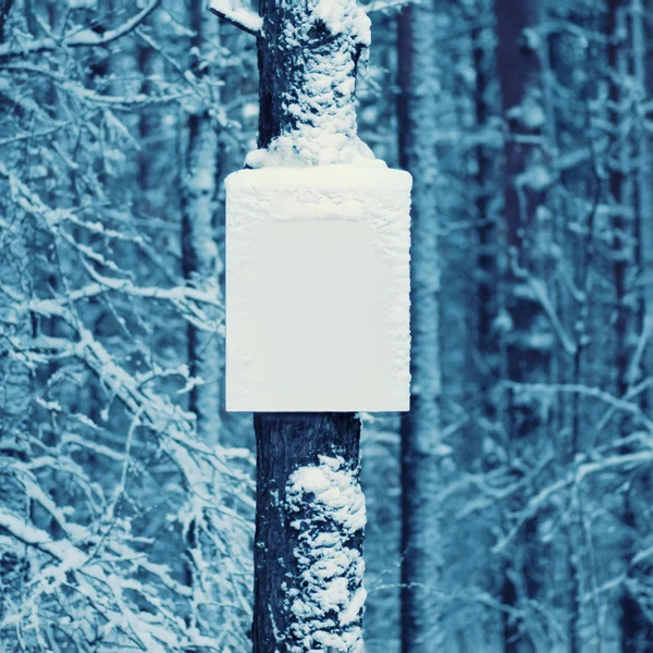 Snowy empty board on trunk of tree winter background — Stock Photo, Image