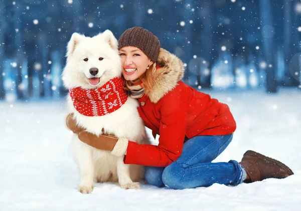 Christmas happy leende kvinna ha kul med vita samojedvalpar hund — Stockfoto