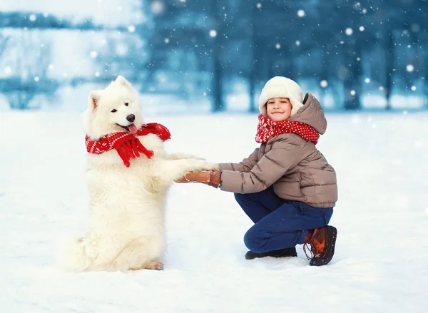 Julen glad tonåring pojke leker med vita samojedvalpar hund på s — Stockfoto