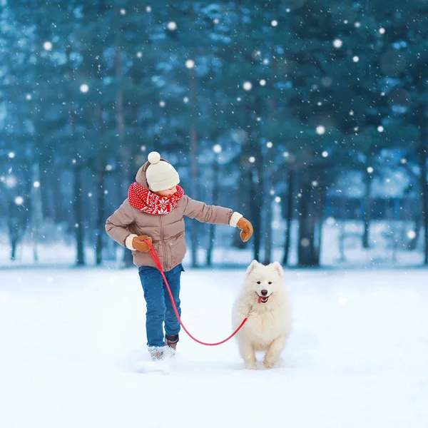 Navidad feliz adolescente chico corriendo jugando con blanco samoyedo —  Fotos de Stock