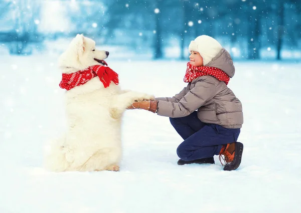 Julen glad tonåring pojke leker med vita samojedvalpar hund på s — Stockfoto