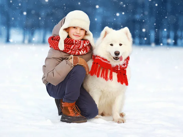 Julen glad tonåring pojke walking med vita samojedvalpar hund i w — Stockfoto
