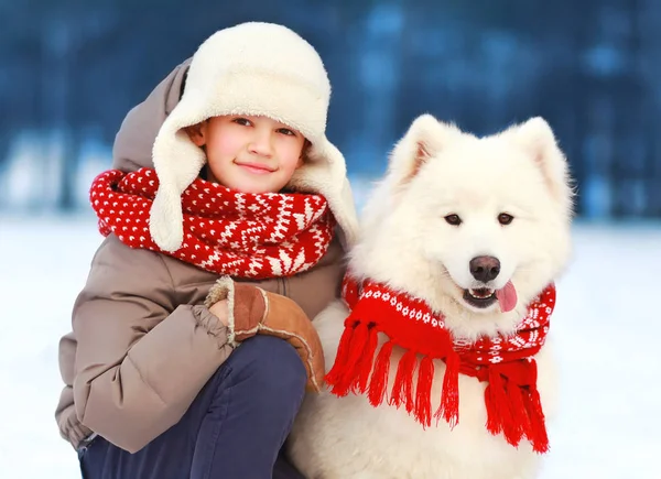 Portrét vánoční dítě chlapec kráčí s bílým samojed psem v w — Stock fotografie