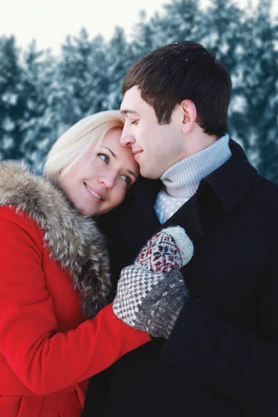 快乐爱年轻夫妇拥抱在冬季的一天结束的肖像 — 图库照片