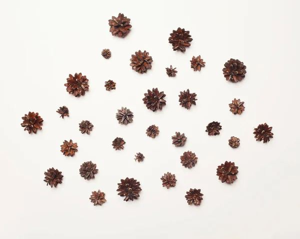 Muchos conos de pino abstractos aislados sobre fondo blanco —  Fotos de Stock