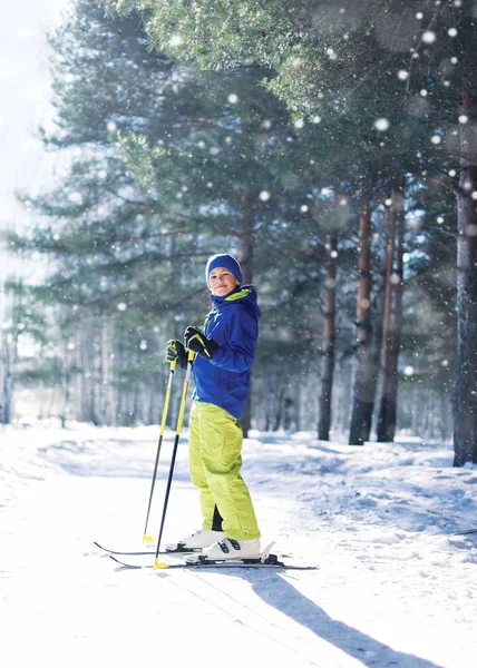 Лыжный мальчик в спортивной одежде с лыжами по зимнему солнечному лесу — стоковое фото