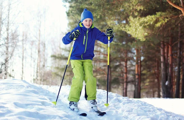 Зимний лыжный мальчик в спортивной одежде катается на лыжах по снегу в солнечный день — стоковое фото