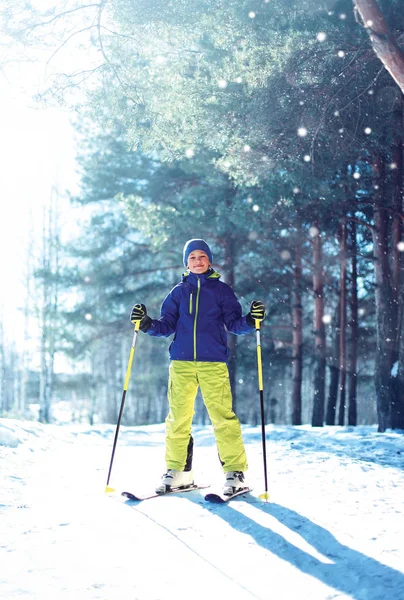 Niño esquiador en ropa deportiva de invierno con esquí sobre un bosque soleado —  Fotos de Stock