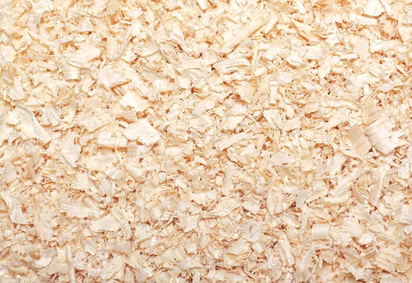 Wood sawdust texture material background closeup, top view — Stock Photo, Image