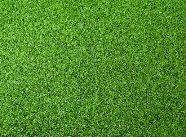 Green grass texture for background. Top view photo — Stock Photo, Image