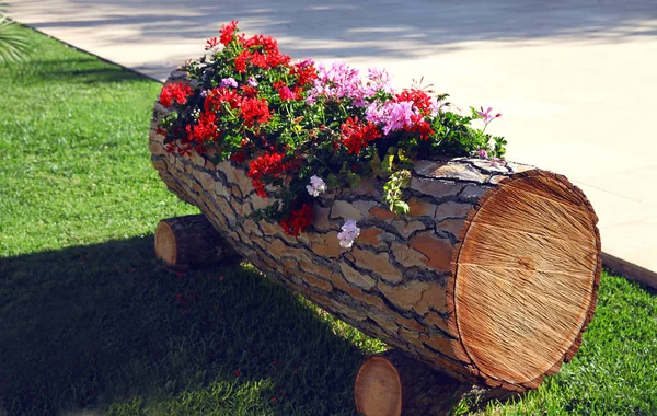 Ogrodnictwo, koncepcja ozdoba - kwiaty w drewniane ozdobne b — Zdjęcie stockowe