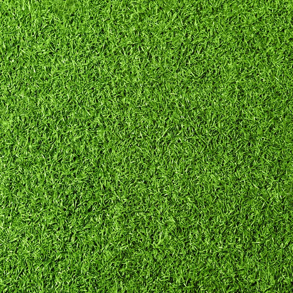 Green grass textured background. Top view nature photo — Stock Photo, Image