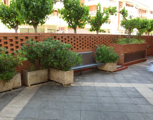 Ława i krzewów z cegły ogrodzenia w city park lub podwórku h — Zdjęcie stockowe