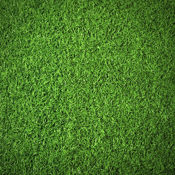 Nature background of green textured grass for abstraction — Stock Photo, Image