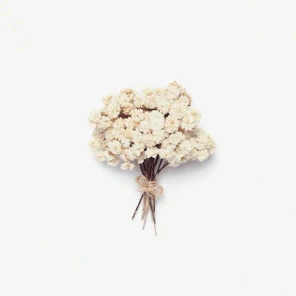 White small bouquet of dried flowers isolated on a white backgro — Stock Photo, Image