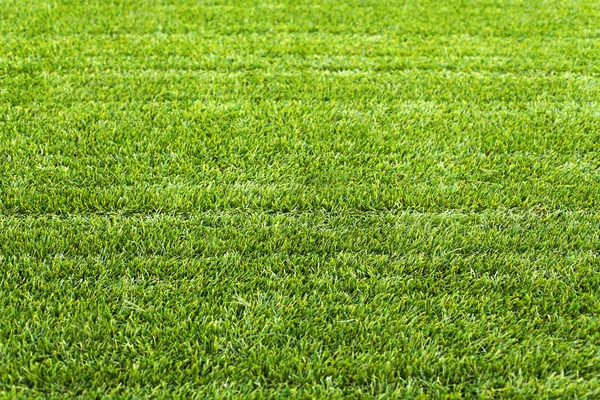 Textura de hierba fresca verde para el fondo — Foto de Stock