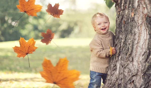 Autumn happy child playing with flying yellow maple leaves, havi — Stock Photo, Image