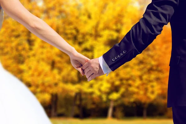 Wedding couple, bride and groom in autumn holding hands together — Stock Photo, Image