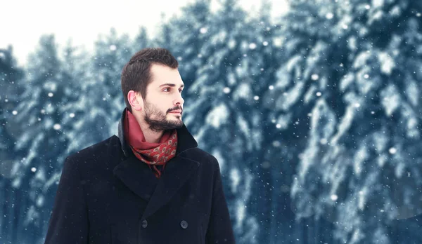Bearded bruna uomo in inverno, distoglie lo sguardo su un alberi innevati anteriore — Foto Stock