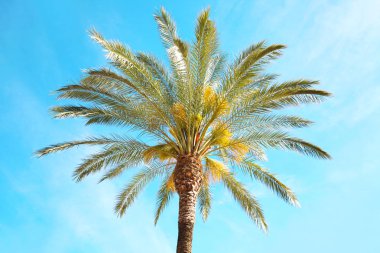 Seyahat, turizm, tatil, doğa ve yaz tatil kavramı - 