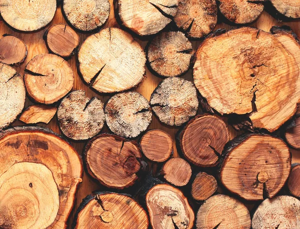 Houten natuurlijke gezaagd een close-up van de logs, textuur voor achtergrond, top — Stockfoto