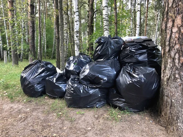 Big pile of garbage plastic bags outdoors in woods
