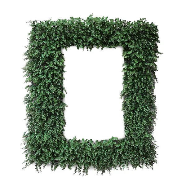 Koncept dekorace - zelené rostlinné listy ve tvaru rámu izolované — Stock fotografie