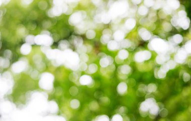 Bokeh geçmişi. Tasarım elementi