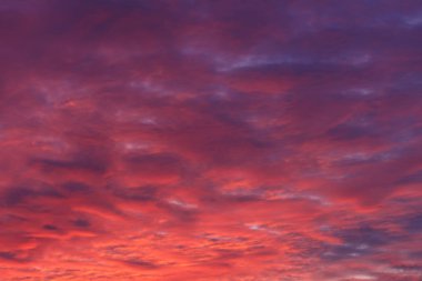 Günbatımı Clear gökyüzü kırmızı mor arka plan