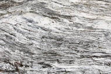 Ahşap doku. Yıpranmış çatlamak çizgilerle gri ahşap tahta. Eski püskü şık tasarımı için doğal arka plan. Gri ahşap zemin görüntü.
