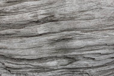 Ahşap doku. Yıpranmış çatlamak çizgilerle gri ahşap tahta. Eski püskü şık tasarımı için doğal arka plan. Gri ahşap zemin görüntü.