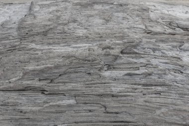 Ahşap doku. Yıpranmış çatlamak çizgilerle gri ahşap tahta. Eski püskü şık tasarımı için doğal arka plan. Gri ahşap zemin görüntü.