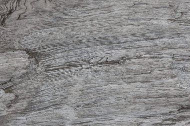 Ahşap doku. Yıpranmış çatlamak çizgilerle gri ahşap tahta. Eski püskü şık tasarımı için doğal arka plan. Gri ahşap zemin görüntü.