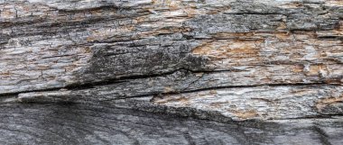 Ahşap doku. Yıpranmış çatlamak çizgilerle gri ahşap tahta. Eski püskü şık tasarımı için doğal arka plan. Gri ahşap zemin görüntü.