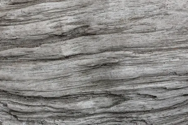 Ahşap doku. Yıpranmış çatlamak çizgilerle gri ahşap tahta. Eski püskü şık tasarımı için doğal arka plan. Gri ahşap zemin görüntü.
