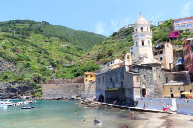 Deniz feneri ve zeytin teraslar halinde Cinque Terre Köyü Vernazza, İtalya