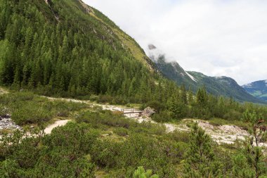 Köprü Valley Fischleintal Sexten Dolomites South Tyrol, İtalya