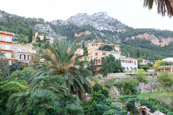 Kasaba Estellencs, palmiye ağacı ve dağda Majorca, İspanya