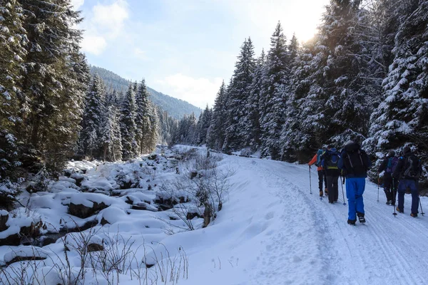 Gruppo di persone escursionismo sul sentiero innevato invernale nelle Alpi dello Stubai montagne e piccolo fiume, Austria — Foto Stock