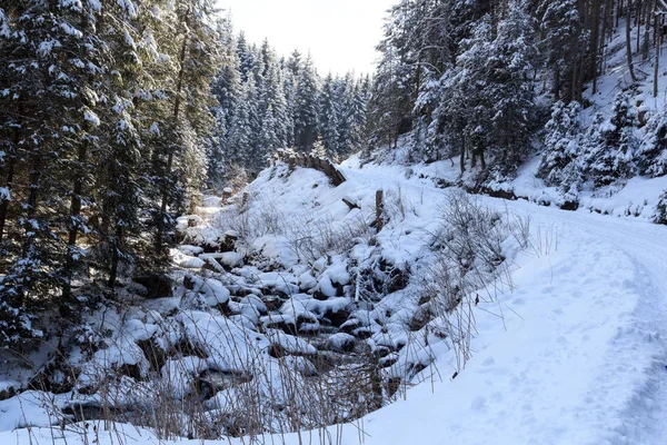 木と Stubai アルプスの山々、オーストリアの小さな川で冬枯れのような雪景色 — ストック写真