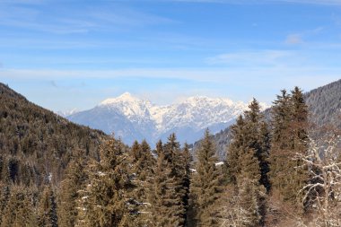 Dağ panorama ve ağaçları ile Stubai Alpler, Avusturya kışın karda