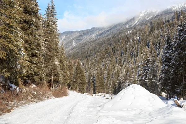 オーストリア、Stubai アルプスの山の木と冬の雪道 — ストック写真