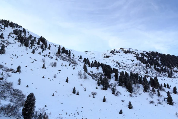 山のパノラマと Stubai アルプス、オーストリアの冬の雪と木々 — ストック写真