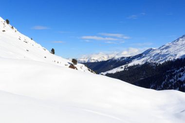 Dağ panorama Stubai Alps, Avusturya için kışın kar, ağaçlar ve mavi gökyüzü ile