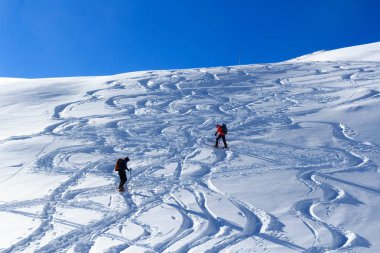 Bir grup insan kar ayakkabıları ve dağ kar panorama Stubai Alps, Avusturya için mavi gökyüzü ile hiking