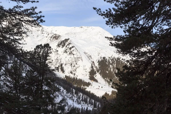 Stubai アルプス、オーストリアの冬の雪、木々 と青空と山のパノラマ — ストック写真